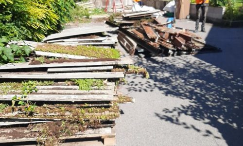 WhatsApp Image 2024-09-14 at 10.02.14 AM (3)