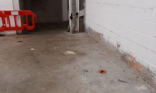 WhatsApp Image 2024-09-14 at 9.29.16 AM