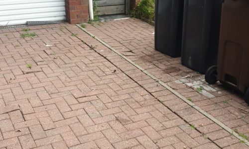 WhatsApp Image 2024-09-14 at 9.40.04 AM