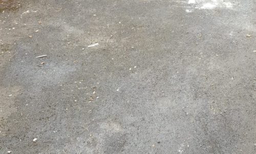 WhatsApp Image 2024-09-14 at 9.47.33 AM