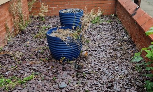 WhatsApp Image 2024-09-14 at 9.48.19 AM